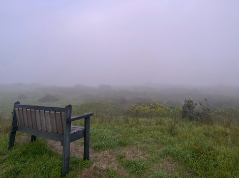 A solitary bench in a misty green landscape